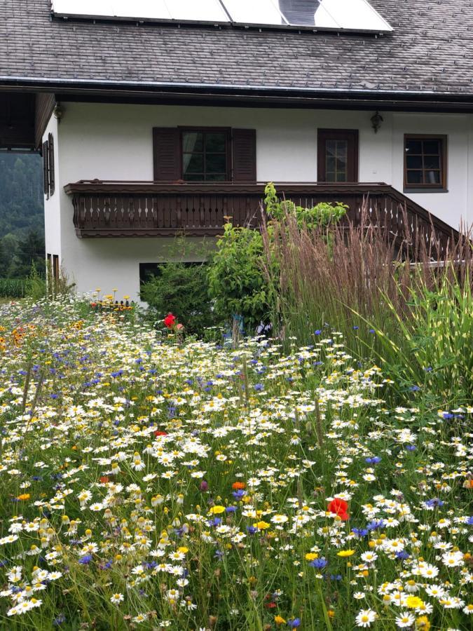 Ferienwohnung Lassendorf Hermagor-Pressegger See Exteriör bild