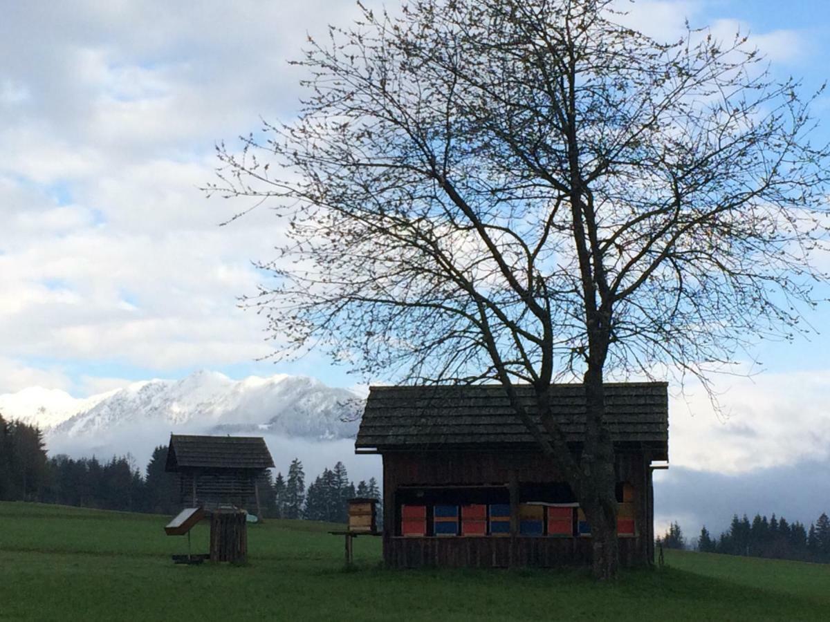 Ferienwohnung Lassendorf Hermagor-Pressegger See Exteriör bild